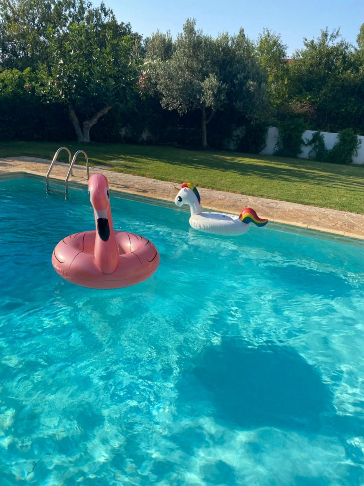 Relaxing Villa With Swimming Pool And Garden Agios Georgios  Extérieur photo