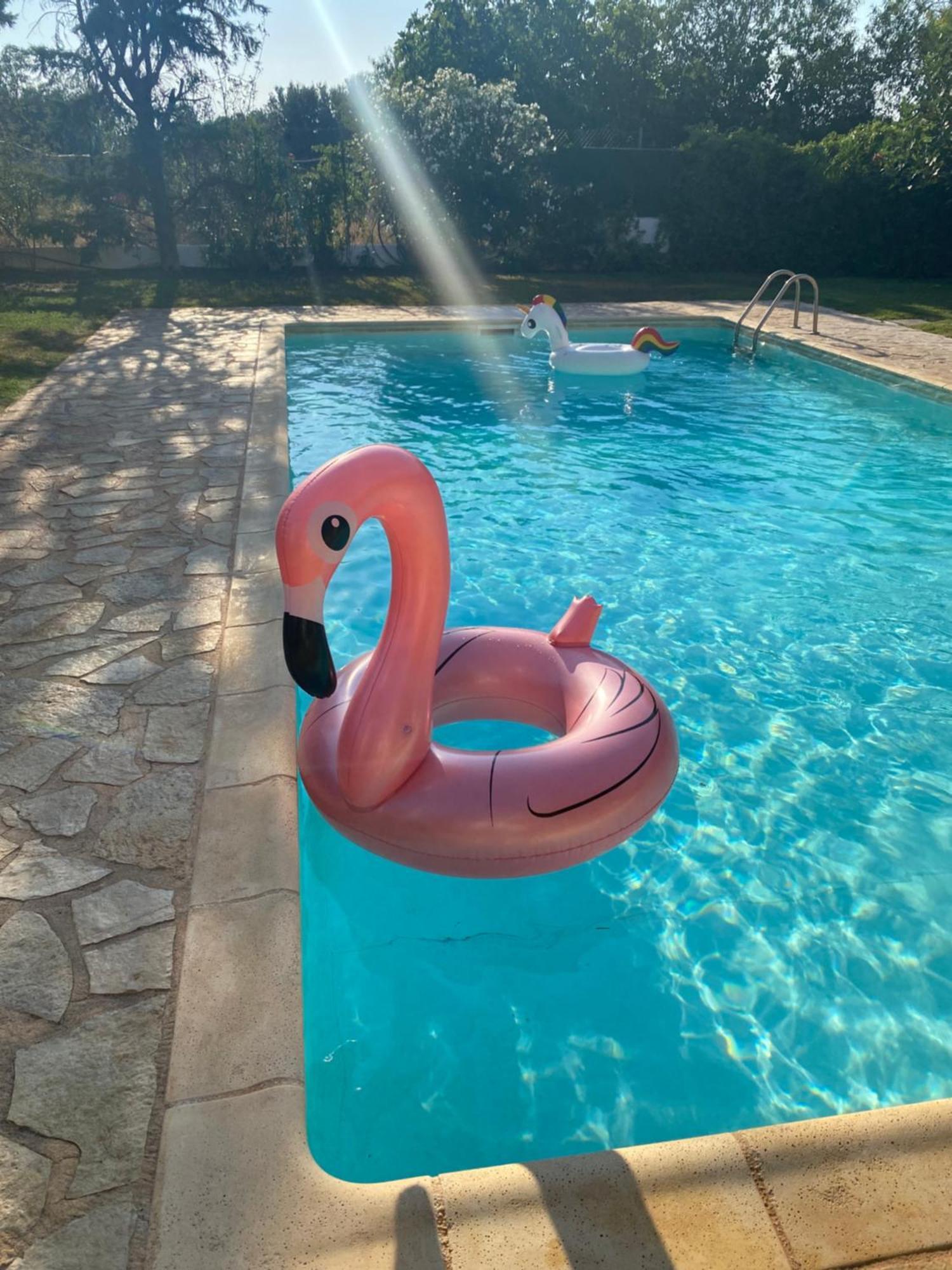 Relaxing Villa With Swimming Pool And Garden Agios Georgios  Extérieur photo